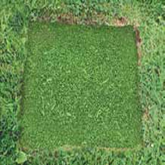 37" Square Recycled Rubber Permeable Outdoor Storm Drain Cover - Sports Fields  Non-Skid  100% Recycled Material Made in USA - 37-SG