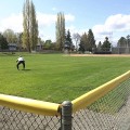 Baseball Safety Top Cap LITE® Fence Guard Cap 80' Long Baseball Fence Topper (Yellow)