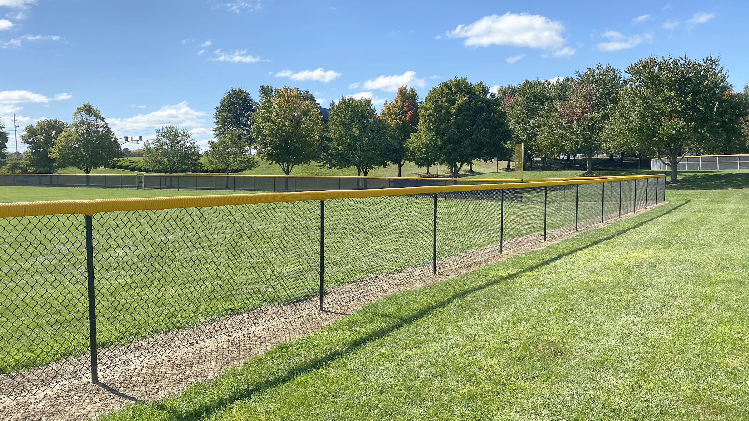 Baseball Fence