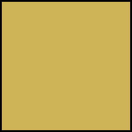 Golden Yellow Color Sample